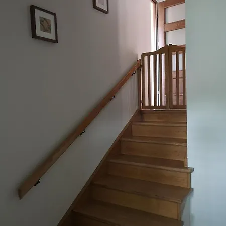 Apartament Broniewskiego Zamosc  Exterior photo